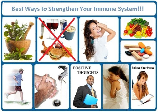 ways to strengthen immune system