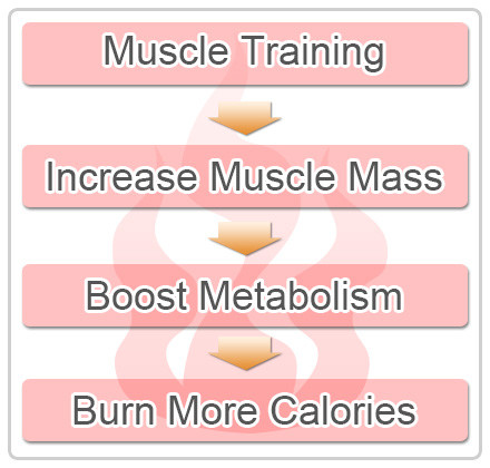 does muscle burn calories metabolism
