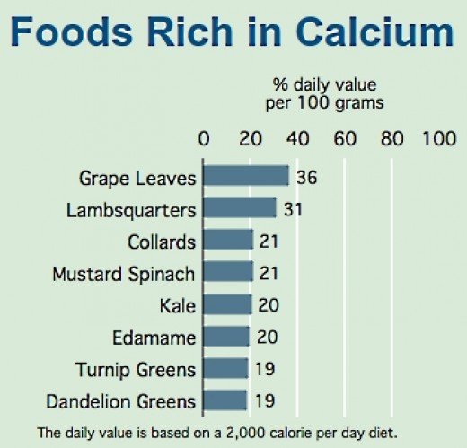 foods high in calcium