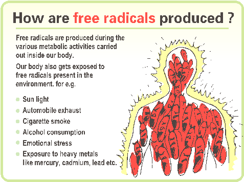 how are free radicals created
