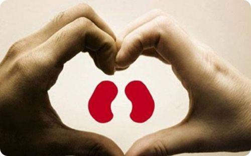 heal kidneys naturally