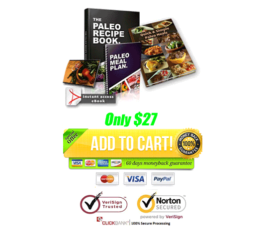 download paleo recipe book pdf