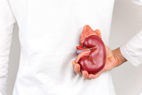 how to reverse kidney damage naturally