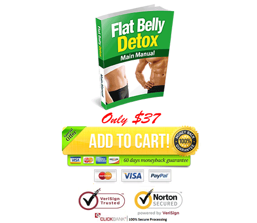 Download Josh Houghton Flat Belly Detox PDF