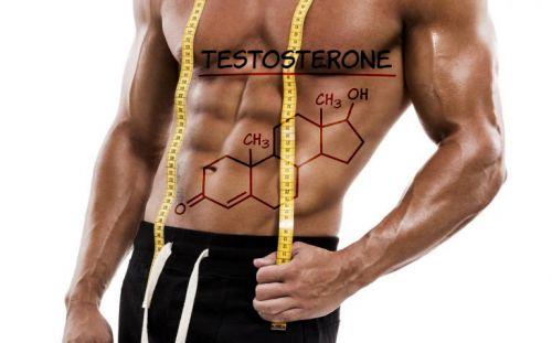 jogging and testosterone levels